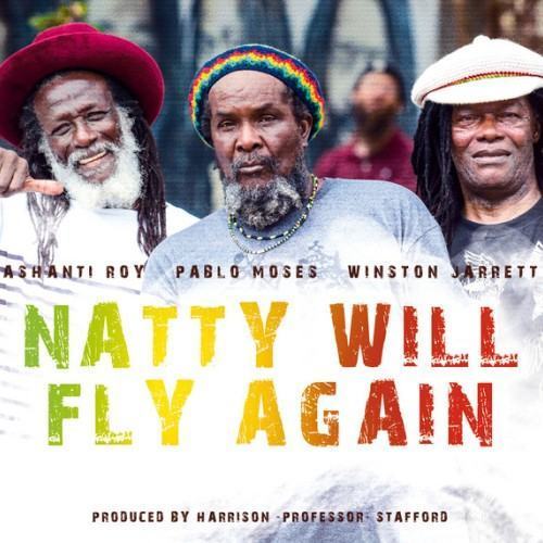 Natty Will Fly Again