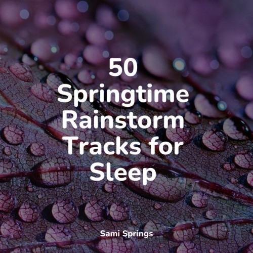 50 Springtime Rainstorm Tracks for Sleep