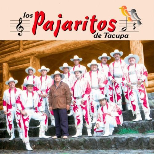 Super Banda los Pajaritos de Tacupa