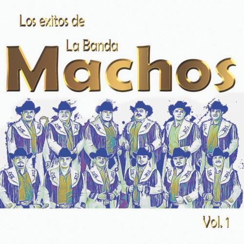 Los Exitos De La Banda Machos, Vol. 1