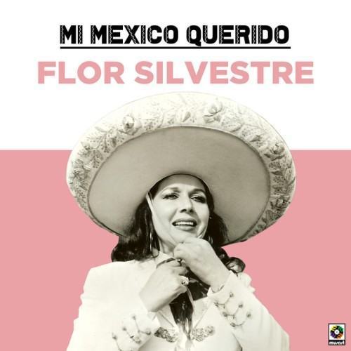 Mi Mexico Querido