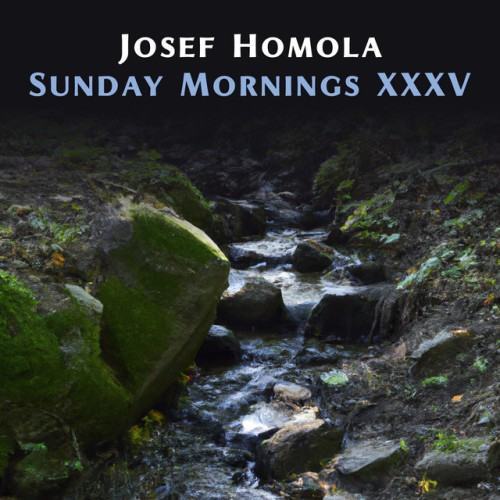 Sunday Mornings XXXV