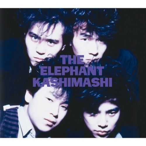 THE ELEPHANT KASHIMASHI