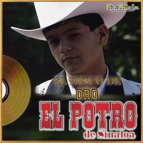 El Disco De Oro