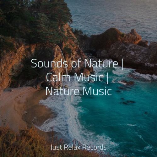 Sounds of Nature | Calm Music | Nature Music
