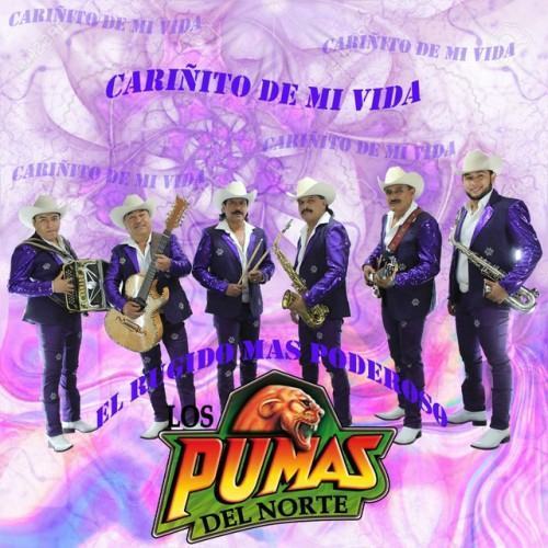 Cariñito de Mi Vida (El Rugido Más Poderoso)