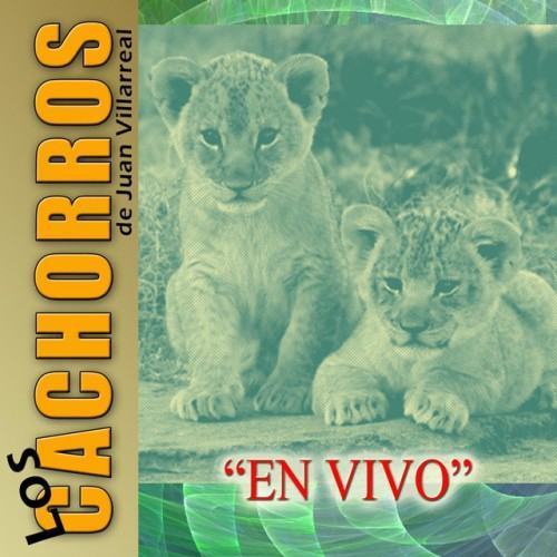 En Vivo
