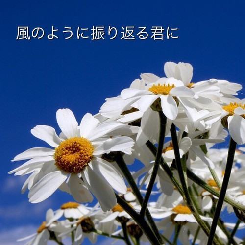 風のように振り返る君