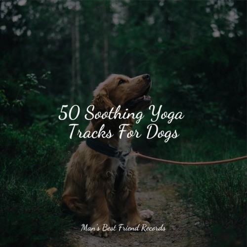 50 Soothing Yoga Tracks For Dogs