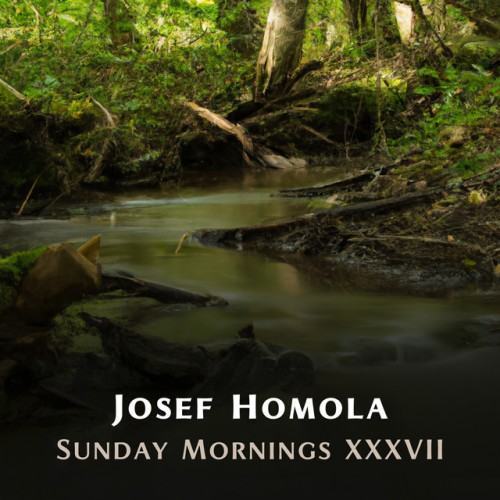 Sunday Mornings XXXVII