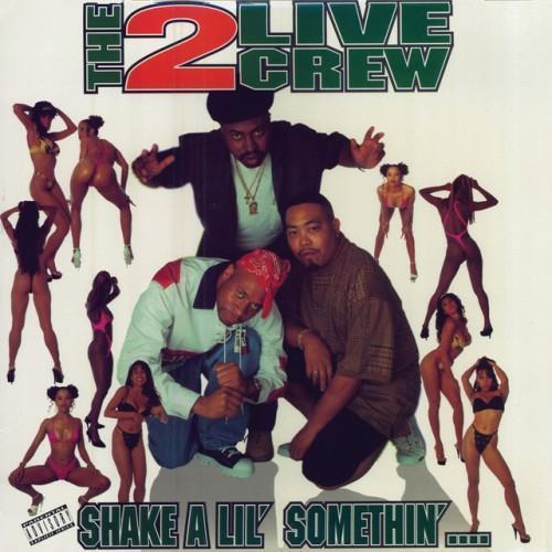 Shake A Lil' Somethin' Remixes