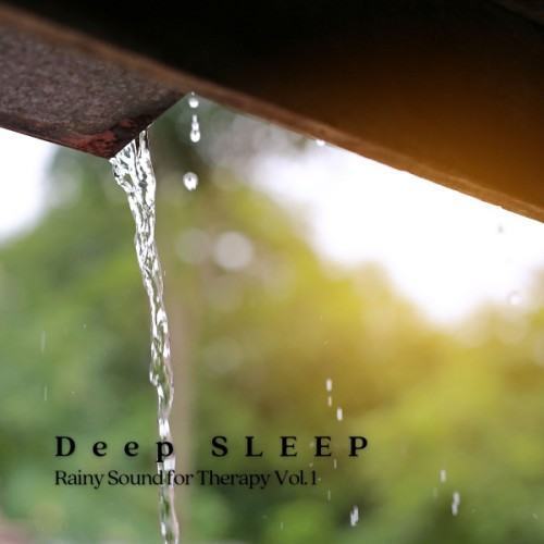 Deep Sleep: Rainy Sound for Therapy Vol. 1