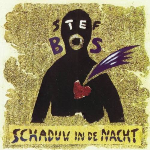 Schaduw In De Nacht