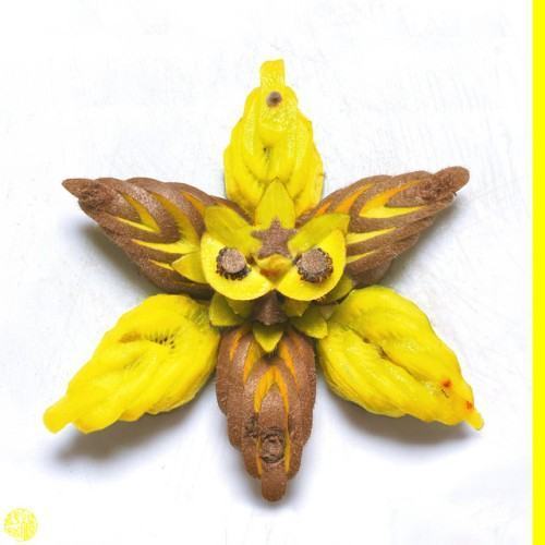 VVYELLOW