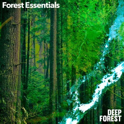 Forest Essentials
