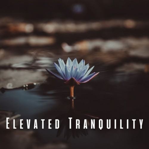 Elevated Tranquility: Chill Music for Guided Meditation