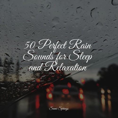 50 Perfect Rain Sounds for Sleep and Relaxation
