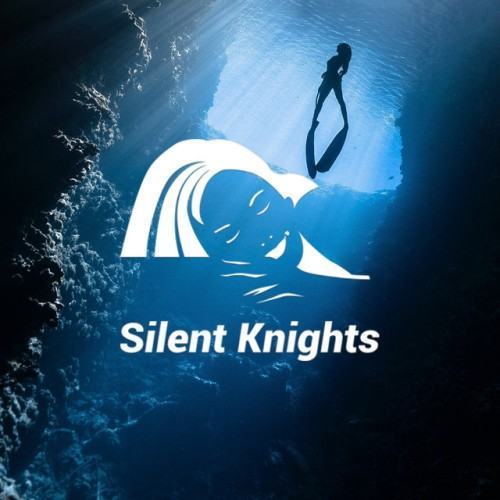 Ocean Sleep Sounds