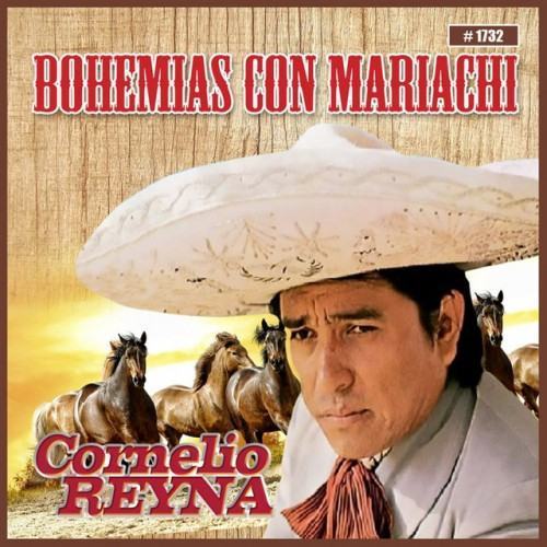 Bohemias Con Mariachi
