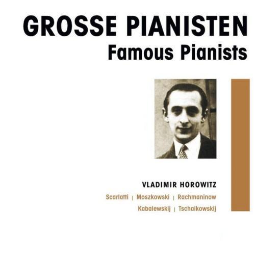Grosse Pianisten - Vladimir Horowitz