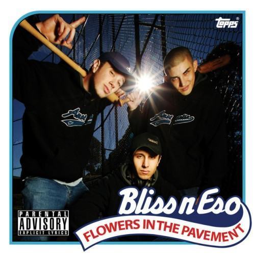 Flowers In The Pavement