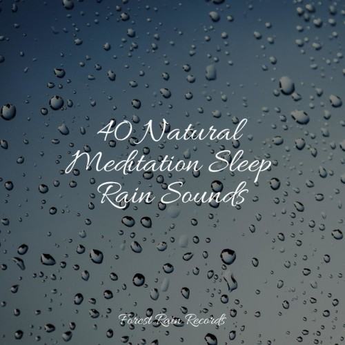 40 Natural Meditation Sleep Rain Sounds