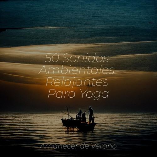 50 Sonidos Ambientales Relajantes Para Yoga