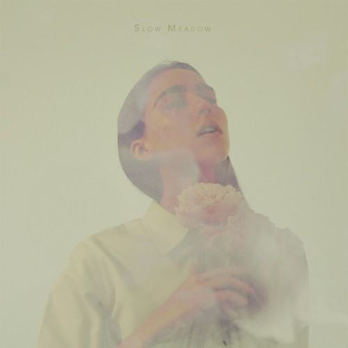 Slow Meadow