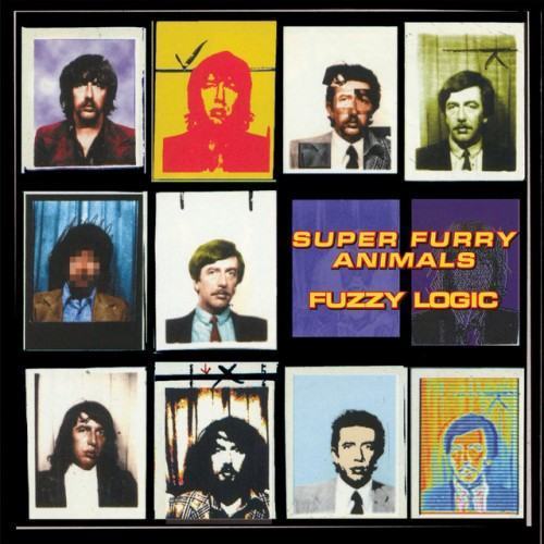 Fuzzy Logic (20th Anniversary Deluxe Edition)