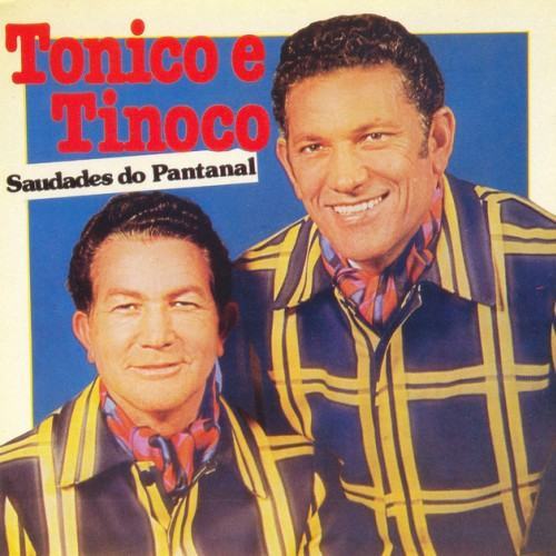 Saudades do Pantanal