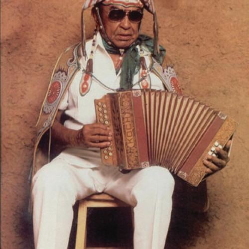50 anos de chão