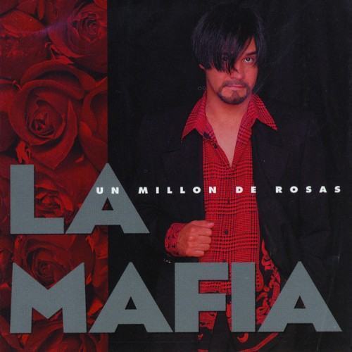 Un Millon De Rosas