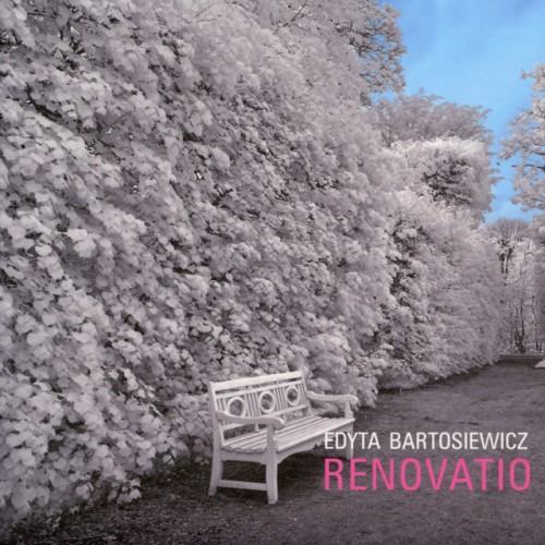Renovatio
