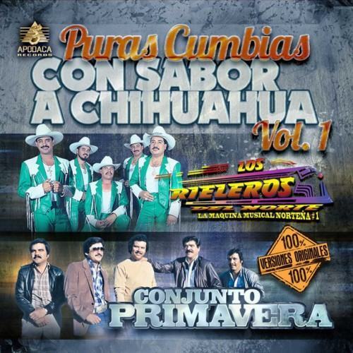 Puras Cumbias Con Sabor a Chihuahua, Vol. 1