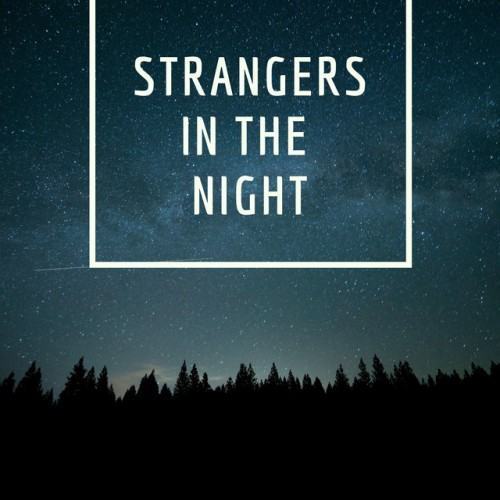 Strangers in the Night