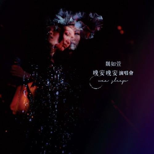 晚安晚安演唱會 (Live)
