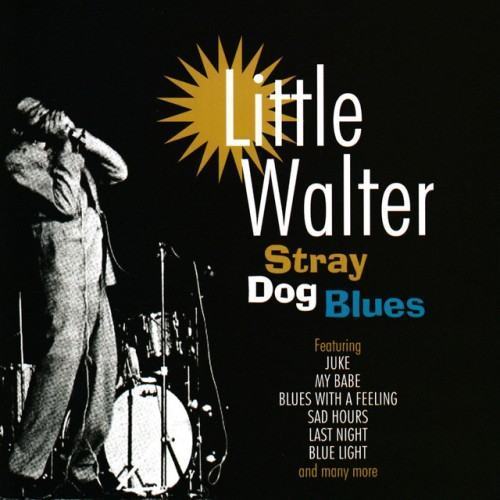 Stray Dog Blues