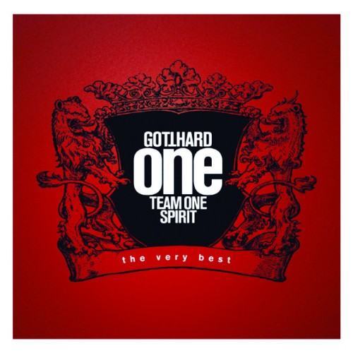 One Team One Spirit