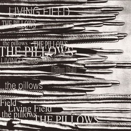 LIVING FIELD