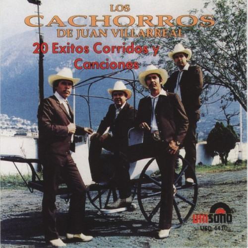 20 Exitos Corridos y Canciones