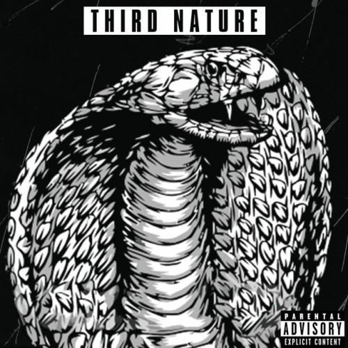THIRD NATURE