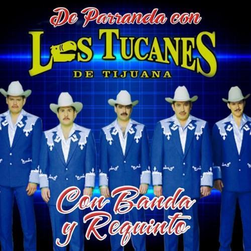 De Parranda Con Los Tucanes