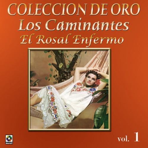 Colección De Oro: La Trova Yucateca, Vol. 1
