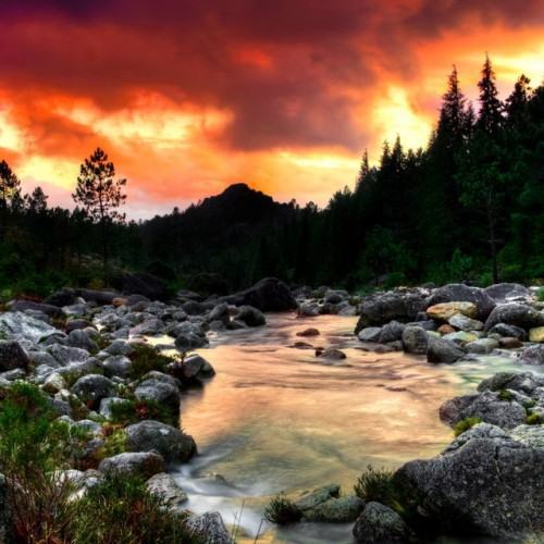 Tranquil River: Water's Serene Lull in Chorale