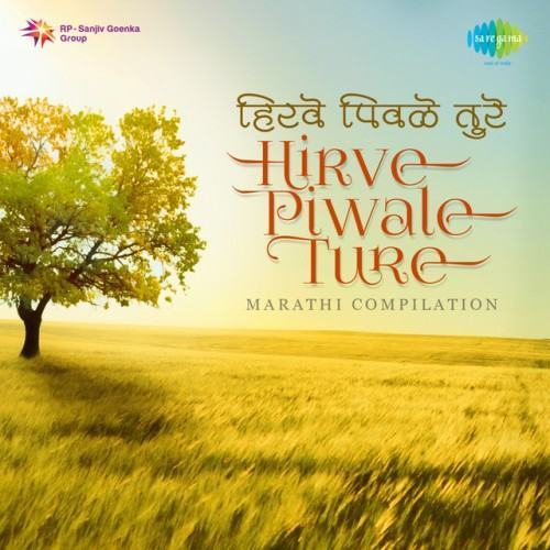 Hirve Piwale Ture