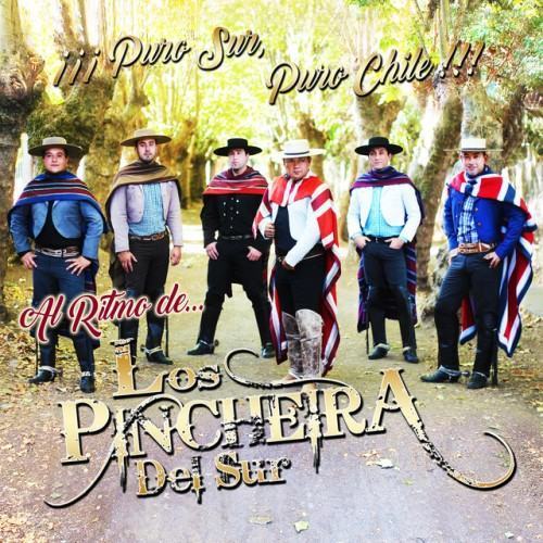 Puro Sur Puro Chile
