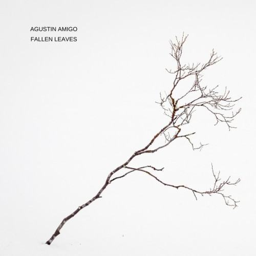 Fallen Leaves