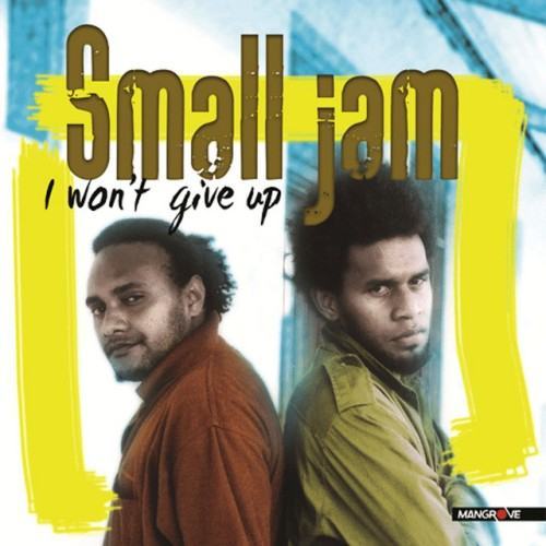 I Won't Give Up