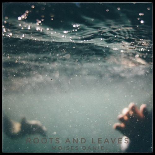 Roots and Leaves