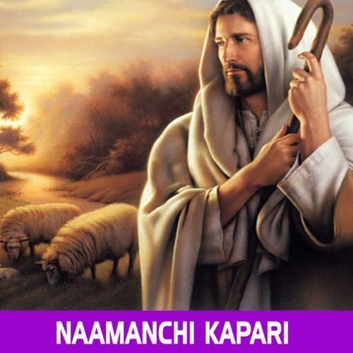 Naamanchi Kapari